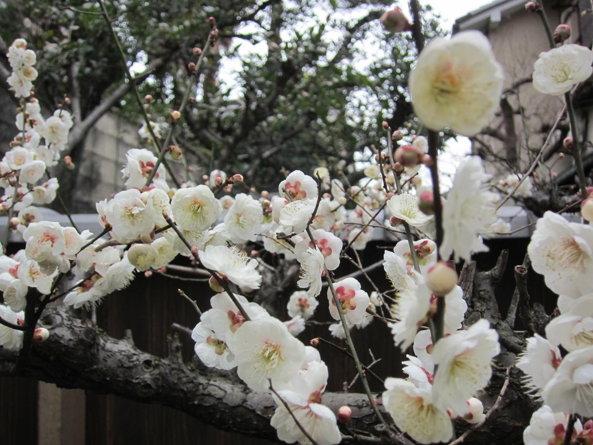 Hotel Yadoya Nishijinso Kioto Exterior foto