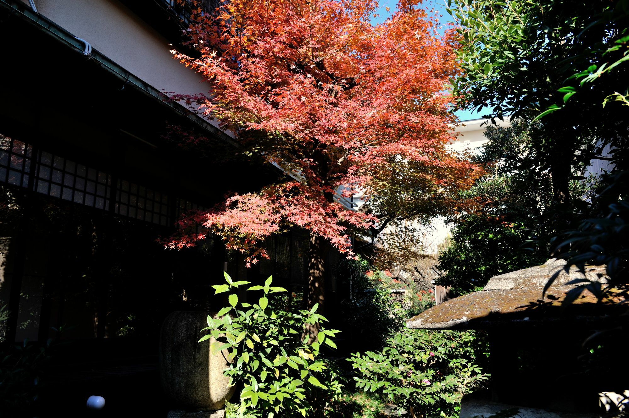 Hotel Yadoya Nishijinso Kioto Exterior foto